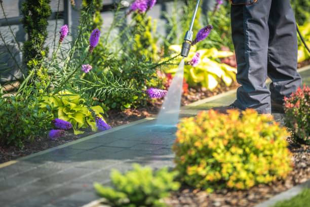 Reliable Maysville, NC Pressure Washing Services Solutions