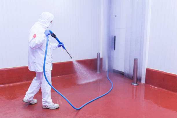 Best Sidewalk and Walkway Cleaning  in Maysville, NC