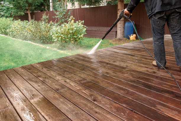 Best Residential House Exterior Washing  in Maysville, NC